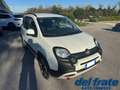 Fiat Panda Cross III 1.0 70Cv Mild Hybrid Cross Plus 4x2 Blanc - thumbnail 7