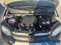 Fiat Panda Cross III 1.0 70Cv Mild Hybrid Cross Plus 4x2 Blanc - thumbnail 14