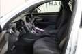 CUPRA Terramar 1.5 eTSI AHK 360Grad HeadUP DCC Wit - thumbnail 9