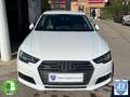 Audi A4 3.0TDI quattro tiptronic 200kW Blanc - thumbnail 5