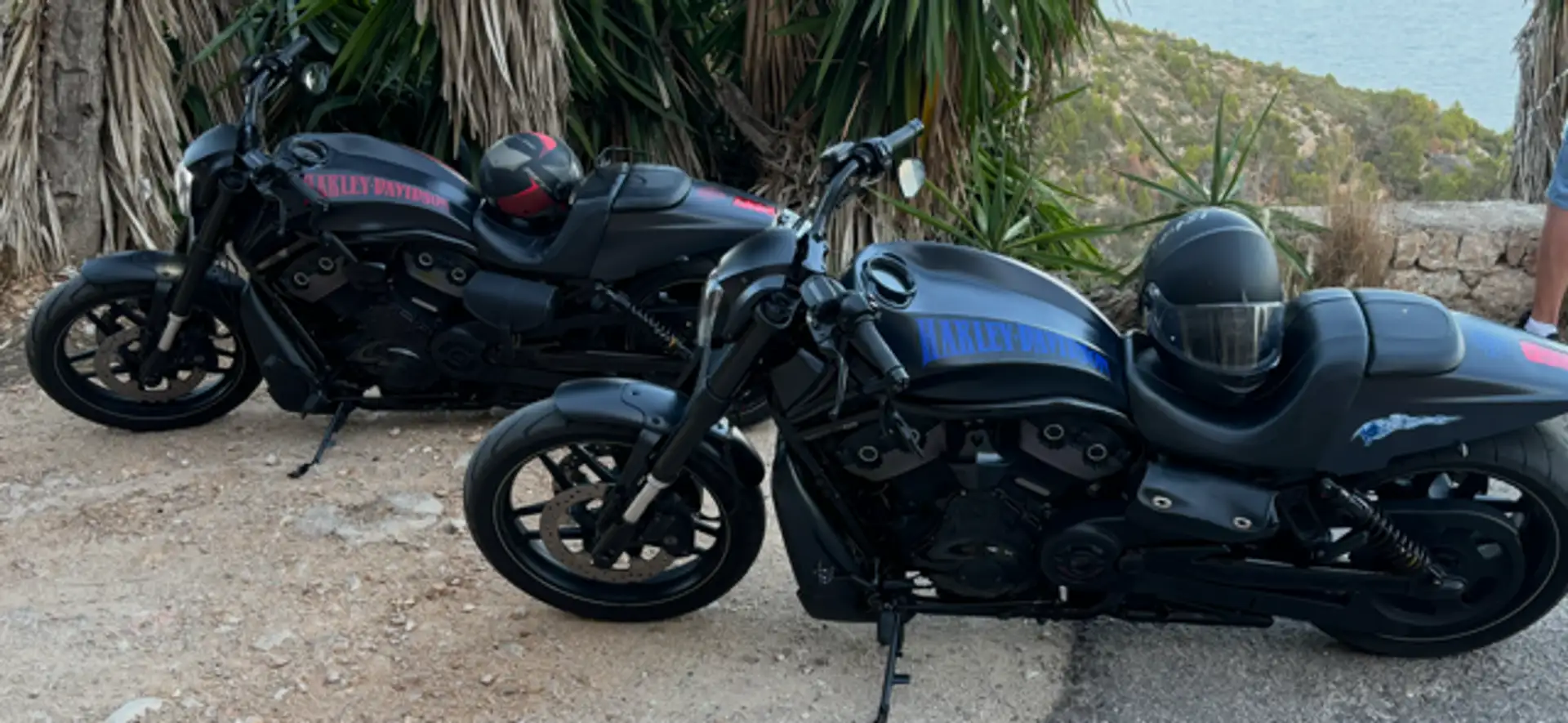 Harley-Davidson Night Rod Special Customized 1a TOP Negro - 1