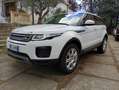 Land Rover Range Rover Evoque 5p 2.0 td4 Launch edition 150cv - thumbnail 7