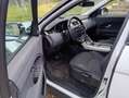 Land Rover Range Rover Evoque 5p 2.0 td4 Launch edition 150cv - thumbnail 11