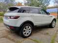 Land Rover Range Rover Evoque 5p 2.0 td4 Launch edition 150cv - thumbnail 5