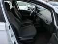 Opel Corsa Corsa V 2015 5p 1.4 Gpl Tech 90cv my18.5 Bianco - thumbnail 11