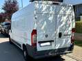 Fiat Ducato 2.3 JTD Multijet C-H1 FRIGORIFIQUE Blanc - thumbnail 6