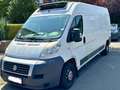 Fiat Ducato 2.3 JTD Multijet C-H1 FRIGORIFIQUE Blanc - thumbnail 2