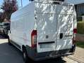 Fiat Ducato 2.3 JTD Multijet C-H1 FRIGORIFIQUE Blanc - thumbnail 5