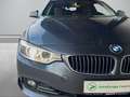 BMW 420 Coupe 420 i/Sitzheizung/PDC/Leder/Bluetooth/Eu6 Grau - thumbnail 9