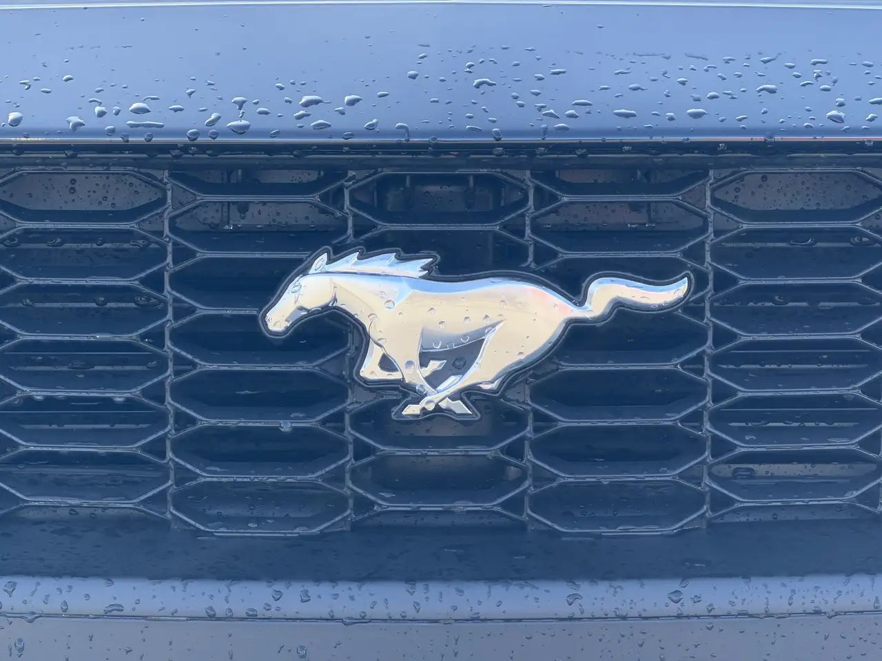 Ford Mustang снимка Ford Mustang