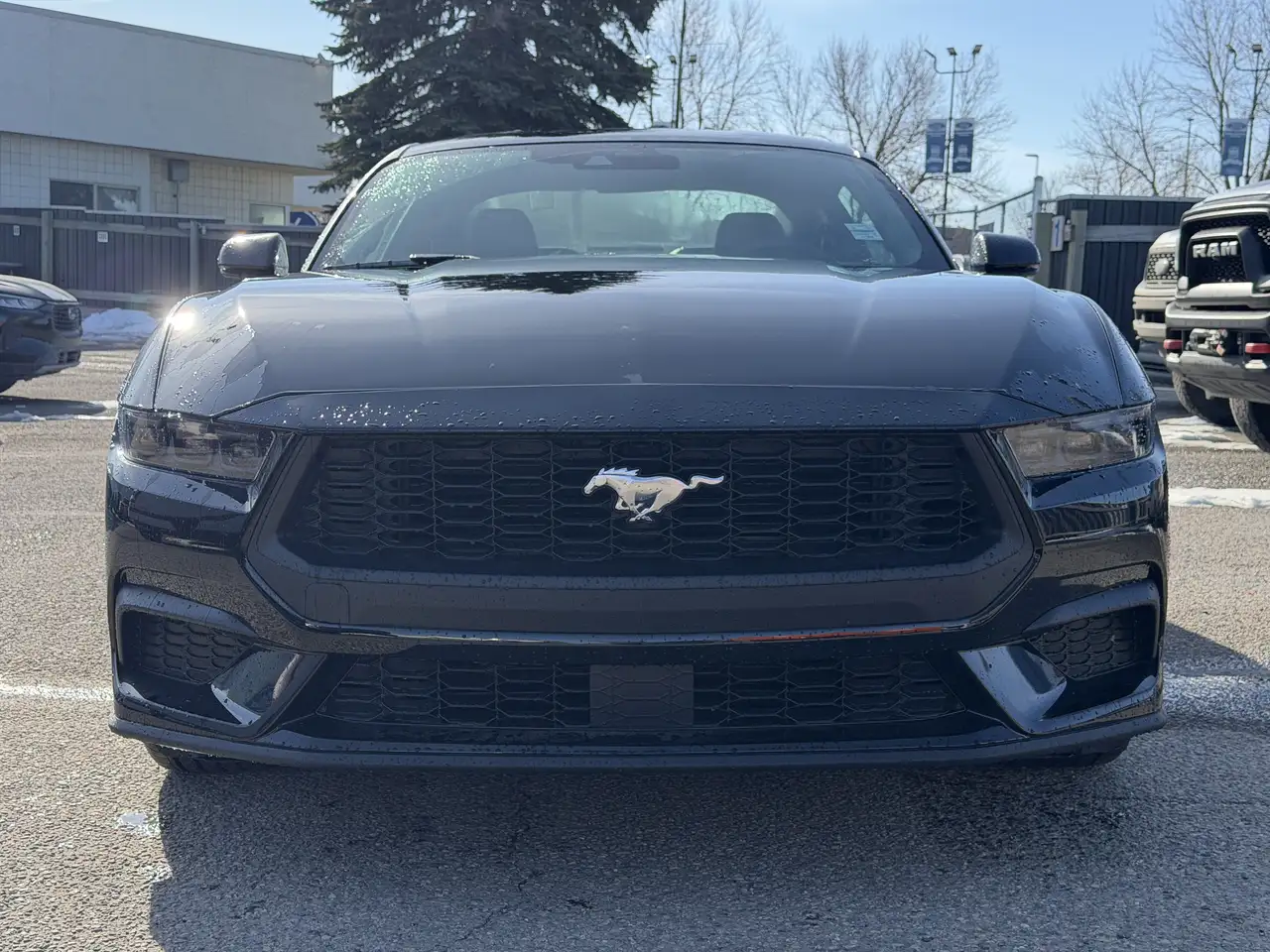 Ford Mustang снимка Ford Mustang