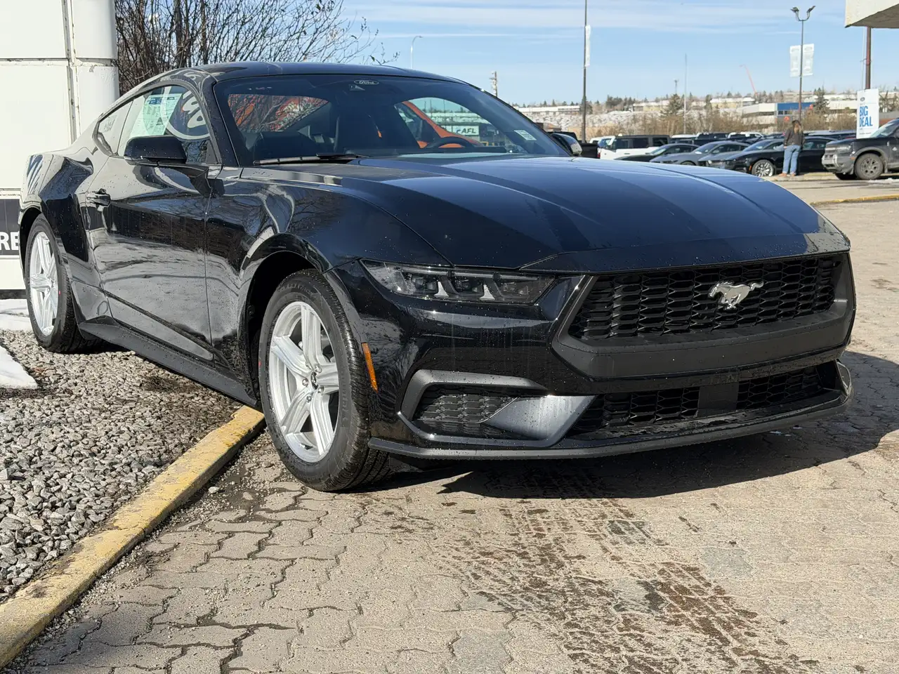 Ford Mustang снимка Ford Mustang