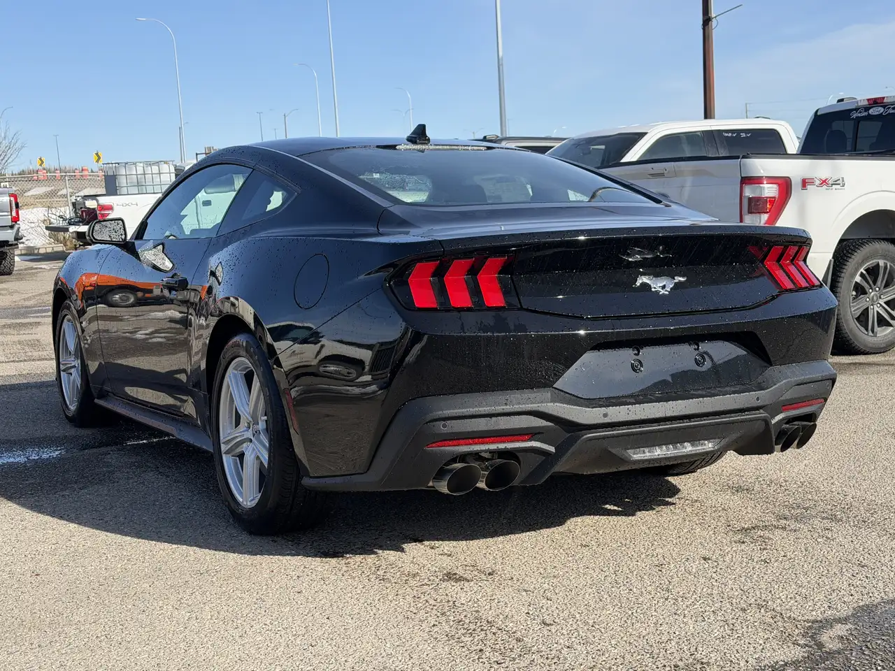 Ford Mustang снимка Ford Mustang
