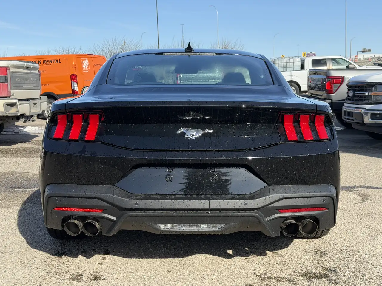 Ford Mustang снимка Ford Mustang