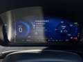 Ford Kuga 2.5 Plug In Hybrid 225 CV CVT 2WD ST-Line X Gris - thumbnail 12