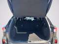 Ford Kuga 2.5 Plug In Hybrid 225 CV CVT 2WD ST-Line X Gris - thumbnail 7