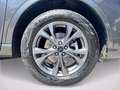 Ford Kuga 2.5 Plug In Hybrid 225 CV CVT 2WD ST-Line X Gris - thumbnail 6