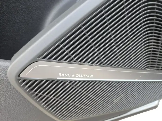 Audi SQ5 view 11