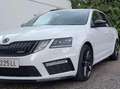 Skoda Octavia Octavia Combi RS 2,0 TDI DSG RS Weiß - thumbnail 6