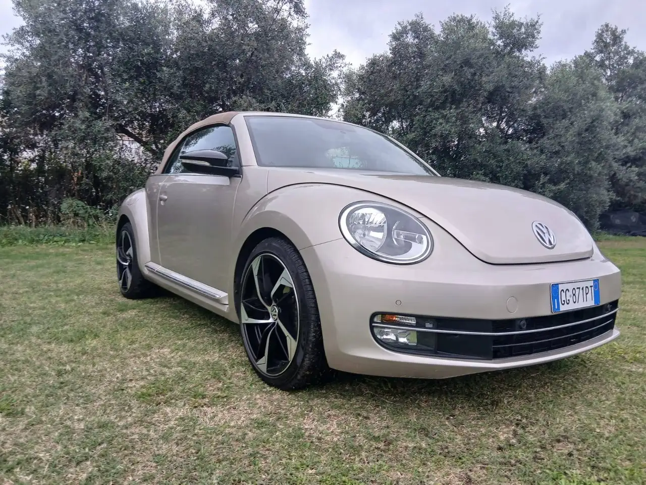 Volkswagen Maggiolino