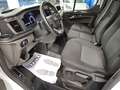 Ford Transit Custom 320 2.0 EcoBlue 130 L2H1 Furgone Trend Blanc - thumbnail 6