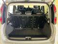Fiat Panda 1.0 70cv S&S Hybrid E6d-T City Cross Gris - thumbnail 11