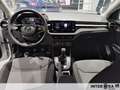Skoda Fabia 1.0 TSI EVO Selection Bianco - thumbnail 8
