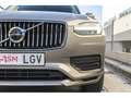 Volvo XC90 T8 Twin Business Plus AWD Aut. Gris - thumbnail 35