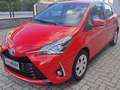 Toyota Yaris Yaris III 2017 5p 1.5h Business Rosso - thumbnail 2