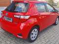 Toyota Yaris Yaris III 2017 5p 1.5h Business Rosso - thumbnail 5