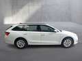 Skoda Octavia Selection TSI mHEV DSG Weiß - thumbnail 6