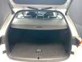 Skoda Octavia Selection TSI mHEV DSG Weiß - thumbnail 13