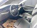 Skoda Octavia Selection TSI mHEV DSG Weiß - thumbnail 9