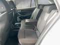 Skoda Octavia Selection TSI mHEV DSG Weiß - thumbnail 12