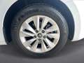 Skoda Octavia Selection TSI mHEV DSG Weiß - thumbnail 7