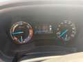 Ford Ranger Ranger Doppelkabine XL 4x4 2,0 EcoBlue XL Weiß - thumbnail 10