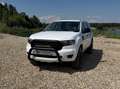 Ford Ranger Ranger Doppelkabine XL 4x4 2,0 EcoBlue XL Weiß - thumbnail 17