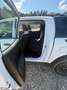 Ford Ranger Ranger Doppelkabine XL 4x4 2,0 EcoBlue XL Weiß - thumbnail 7
