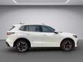 Volkswagen Tiguan 2.0TDI DSG R-Line AHK Weiß - thumbnail 6