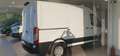 Ford E-Transit Van 350 L2H2 Trend 269CV Batt. 68KWh Auton. 260Km Wit - thumbnail 5
