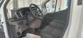 Ford E-Transit Van 350 L2H2 Trend 269CV Batt. 68KWh Auton. 260Km Wit - thumbnail 7