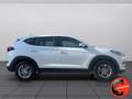 Hyundai TUCSON 1.7 CRDi COMFORT DIURNILEED-E6B-1PROPRIETARIO- Weiß - thumbnail 3