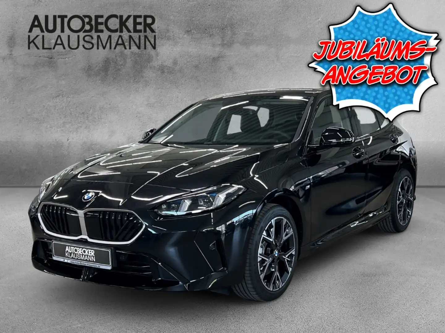 BMW 116 LMR 18'' Park-Assistent Navi Digitales Cockpit LED Negru - 1