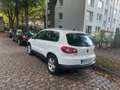Volkswagen Tiguan 1.4 TSI 4Motion Sport & Style Білий - thumbnail 2