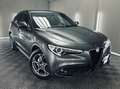Alfa Romeo Stelvio 2.2 Ti Q4 190cv auto Gris - thumbnail 1