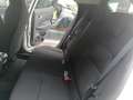Nissan Juke 1.0 DIG-T 114 CV Acenta LOOK PACK Bianco - thumbnail 14