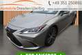Lexus 300h Limited Edition*Navi*ACC*Kamera*Pioneer* Сірий - thumbnail 1