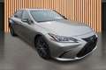 Lexus 300h Limited Edition*Navi*ACC*Kamera*Pioneer* Сірий - thumbnail 9