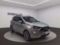 Ford EcoSport 1.0 ecoboost ST-Line s&s 125cv my20.25 Gris - thumbnail 15