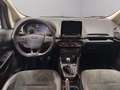 Ford EcoSport 1.0 ecoboost ST-Line s&s 125cv my20.25 Gri - thumbnail 8